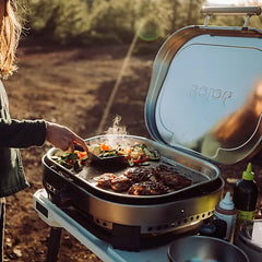 Dream Backyard Bundle | Summit 27, Steelfire 22 & Windchill 30